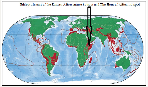 Click here to view Large image 1