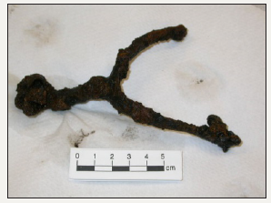 Click here to view Large image 8