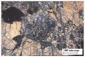 Click here to view Large image 2