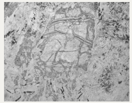 Click here to view Large image 3