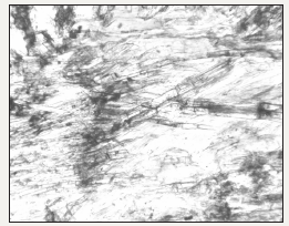 Click here to view Large image 4