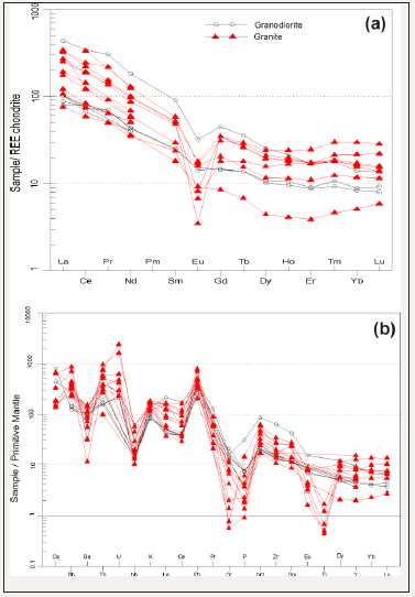 Click here to view Large image 8