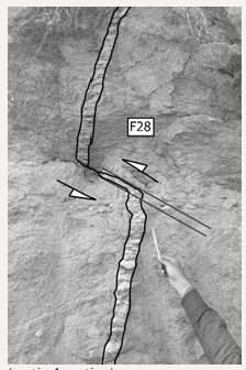 Click here to view Large image 13