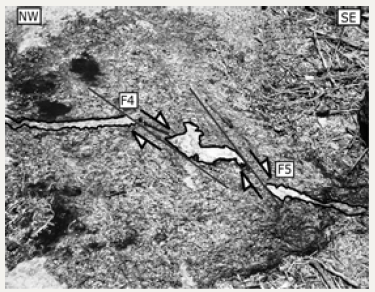 Click here to view Large image 3