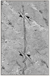 Click here to view Large image 5