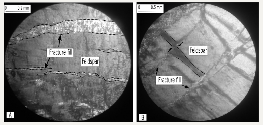Click here to view Large image 7