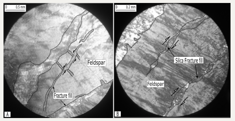 Click here to view Large image 8