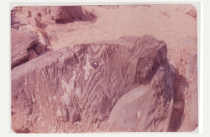 Click here to view Large image 5