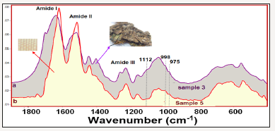 Click here to view Large image 4