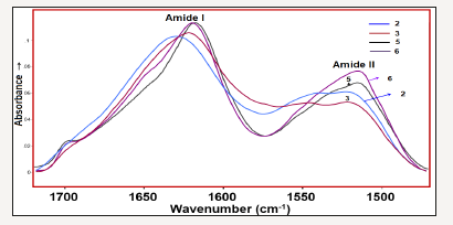 Click here to view Large image 5