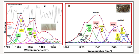 Click here to view Large image 6