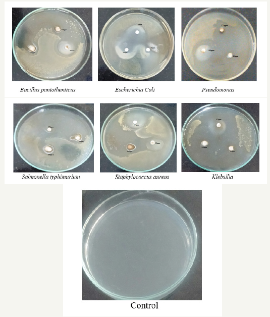 Click here to view Large image 8