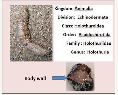Click here to view Large image 1