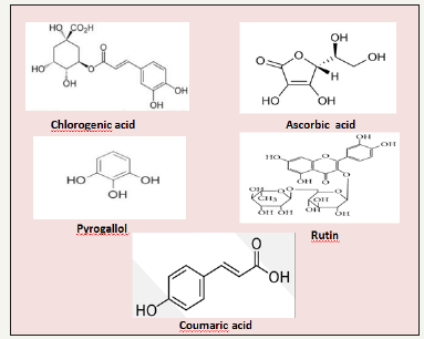 Click here to view Large image 2