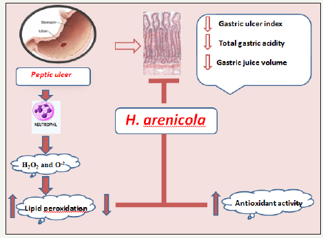 Click here to view Large image 3