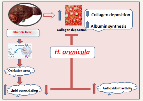 Click here to view Large image 4