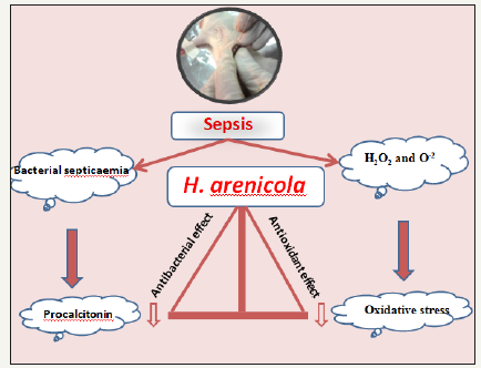 Click here to view Large image 5