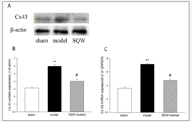 Click here to view Large image 4