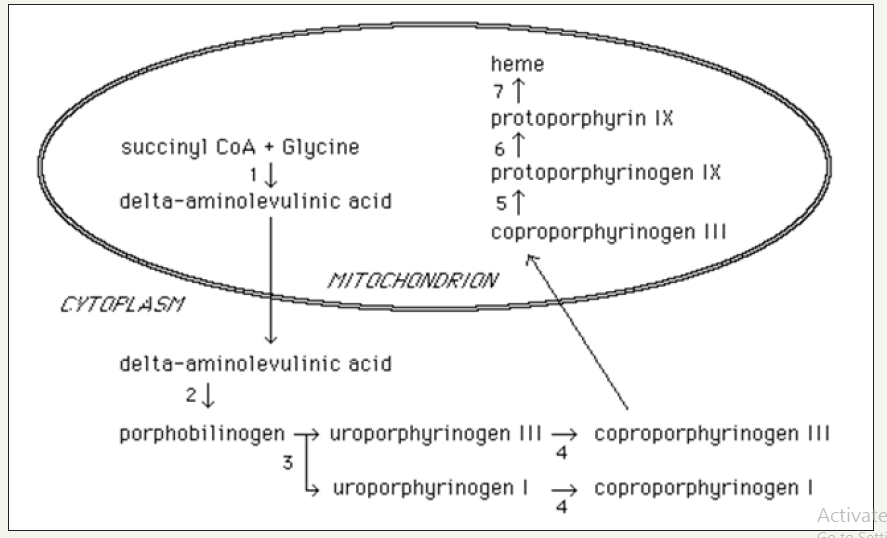 Click here to view Large image 1