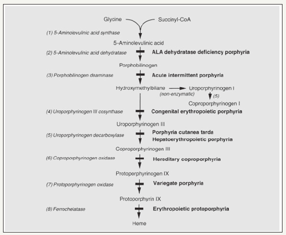 Click here to view Large image 3