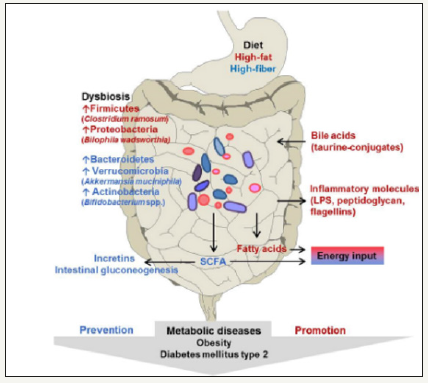Click here to view Large image 1