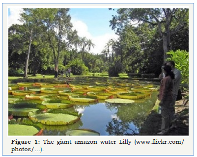 Click here to view Large image 1