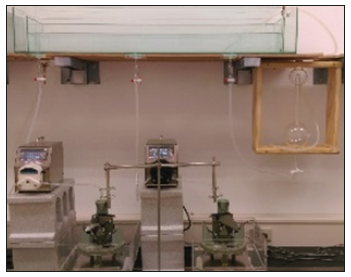 Click here to view Large image 3