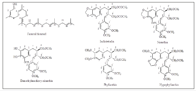 Click here to view Large image 1