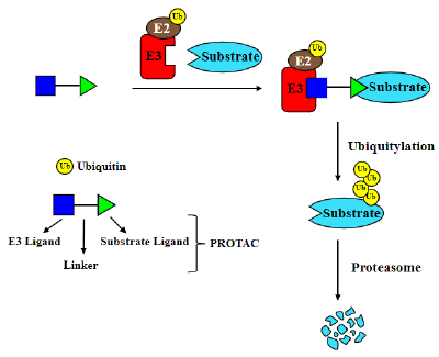 Click here to view Large image 1
