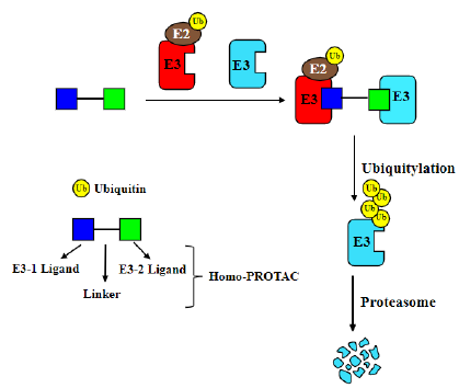 Click here to view Large image 2