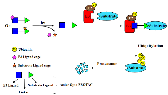 Click here to view Large image 3