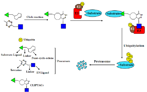 Click here to view Large image 5