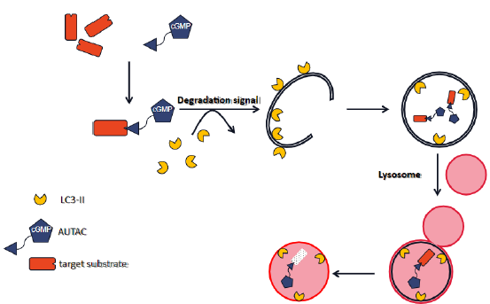 Click here to view Large image 7