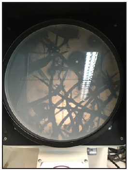 Click here to view Large image 1