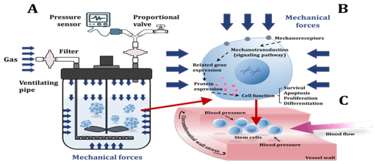 Click here to view Large image 1