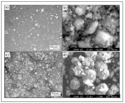 Click here to view Large image 1