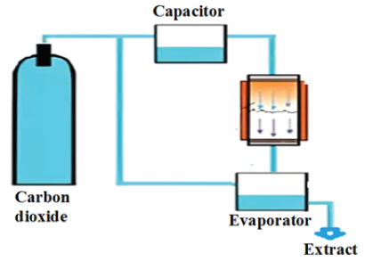 Click here to view Large image 4
