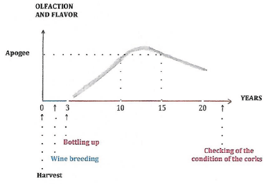Click here to view Large image 1