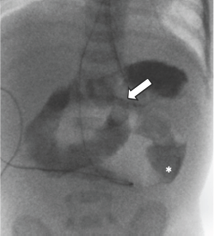 Click here to view Large Figure 2