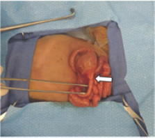 Click here to view Large Figure 3