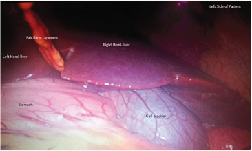 Click here to view Large image 3