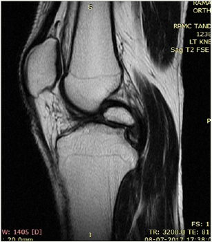 Click here to view Large image 5