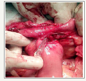 Click here to view Large image 3