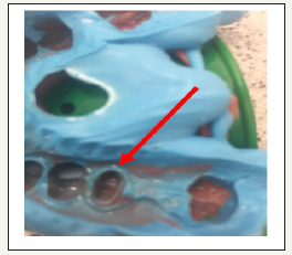 Click here to view Large image 2