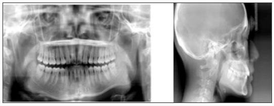 Click here to view Large image 4