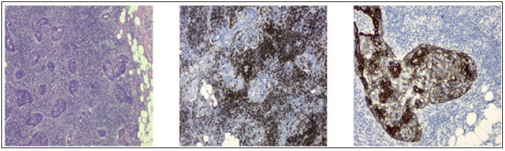 Click here to view Large image 1