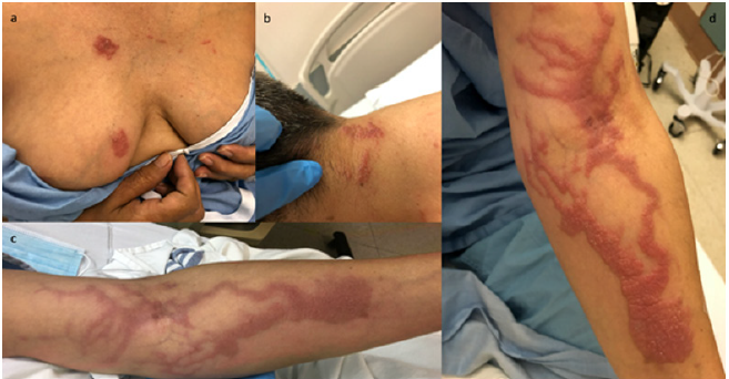 Click here to view Large image 1