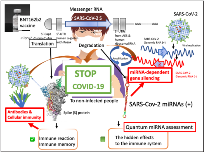 Click here to view Large image 1