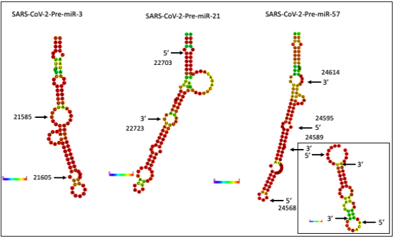 Click here to view Large image 3