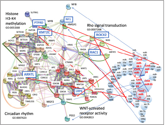 Click here to view Large image 4